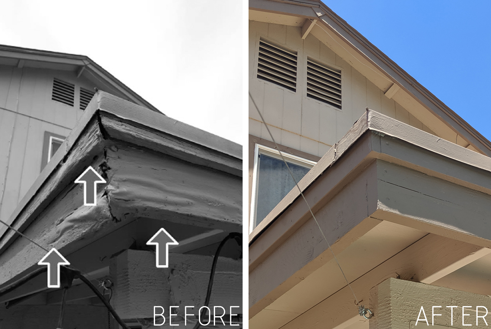 BINSR Fascia Damage Repair