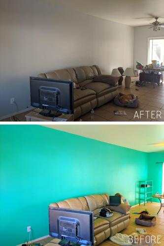 Family Room Painting Services