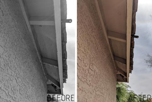 Exterior Eve Painting Services